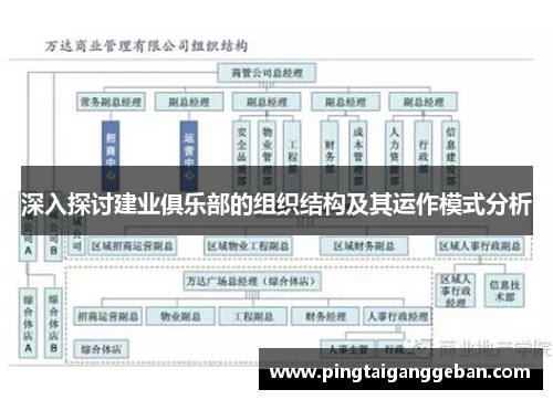 深入探讨建业俱乐部的组织结构及其运作模式分析